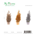 11.81" Christmas Potted Plants – Mixed Colors
