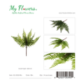 19.69 inch Mixed Boston Fern Leaves Bush - MyFlowers line
