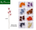 Mix Color 4-Branch Epiphyllum Oxypetalum Artificial Stem 81cm - MyFlowers 04-431 Mix