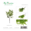 19.69 inch Mixed Asparagus Fern Leaves Bush - MyFlowers line